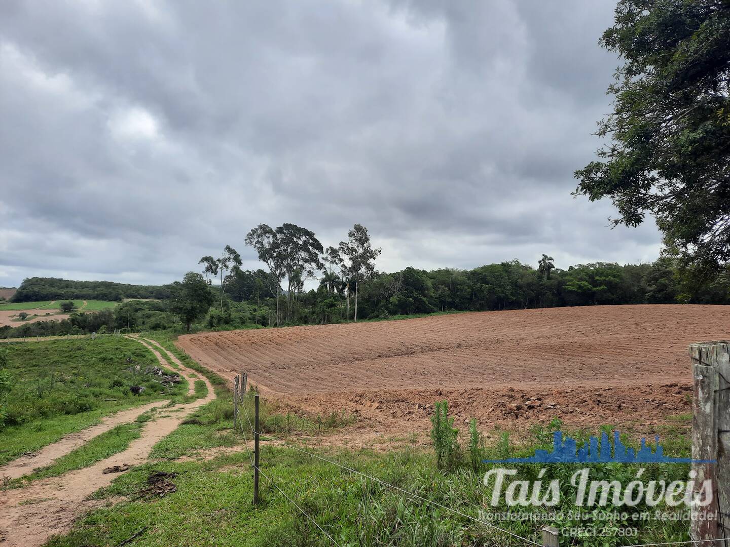 Fazenda à venda com 2 quartos, 18m² - Foto 8