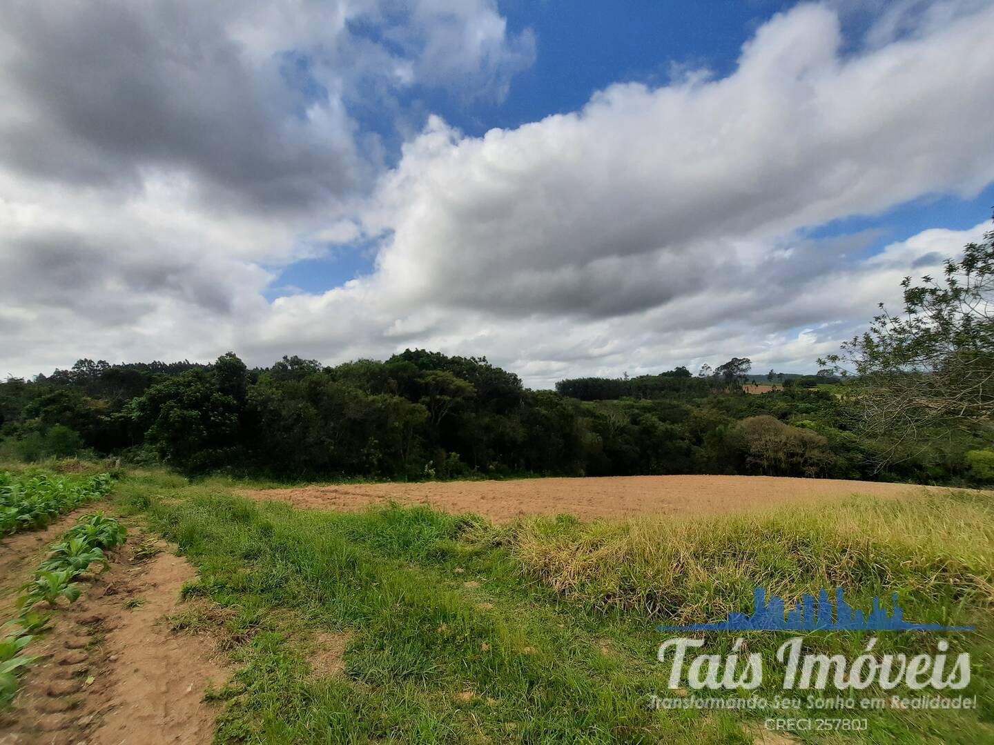 Fazenda à venda com 2 quartos, 18m² - Foto 12