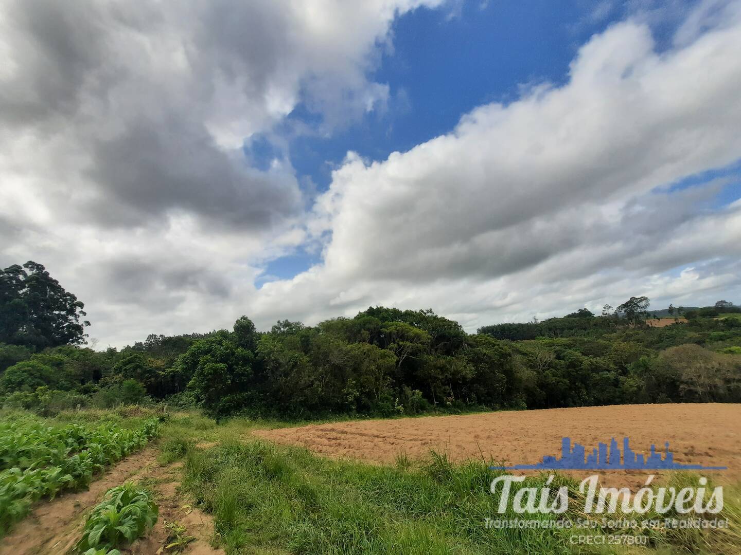 Fazenda à venda com 2 quartos, 18m² - Foto 15