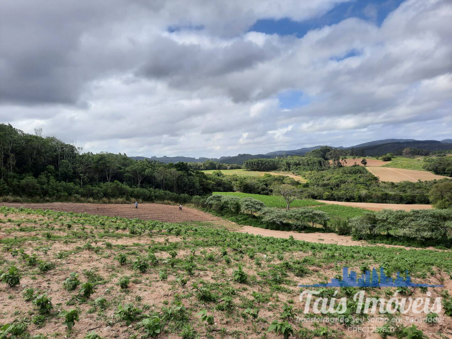 Fazenda à venda com 2 quartos, 18m² - Foto 17