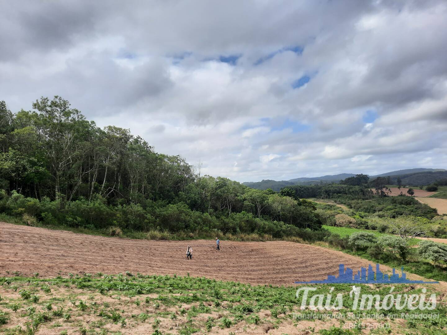 Fazenda à venda com 2 quartos, 18m² - Foto 18