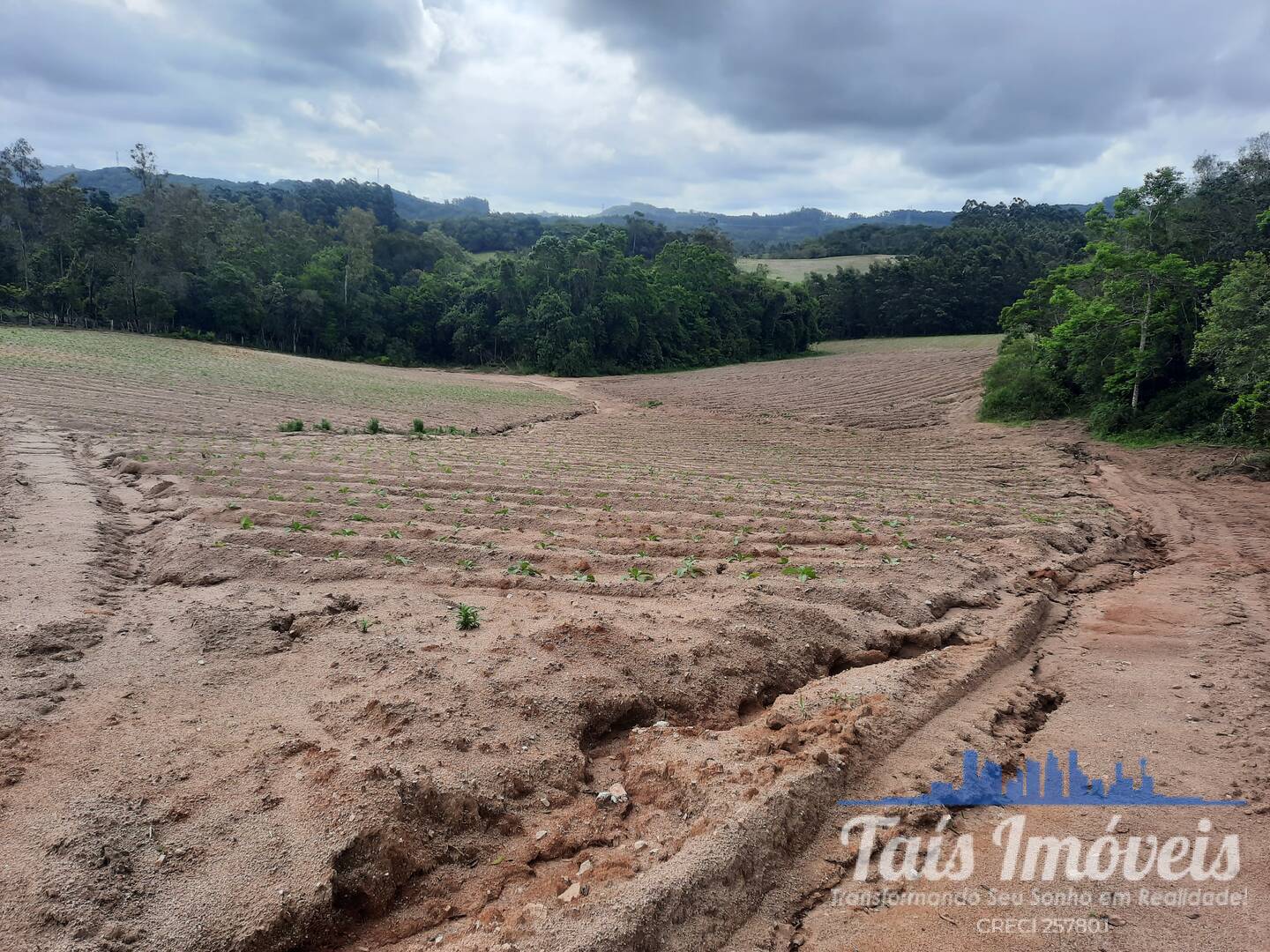 Fazenda à venda com 2 quartos, 18m² - Foto 19