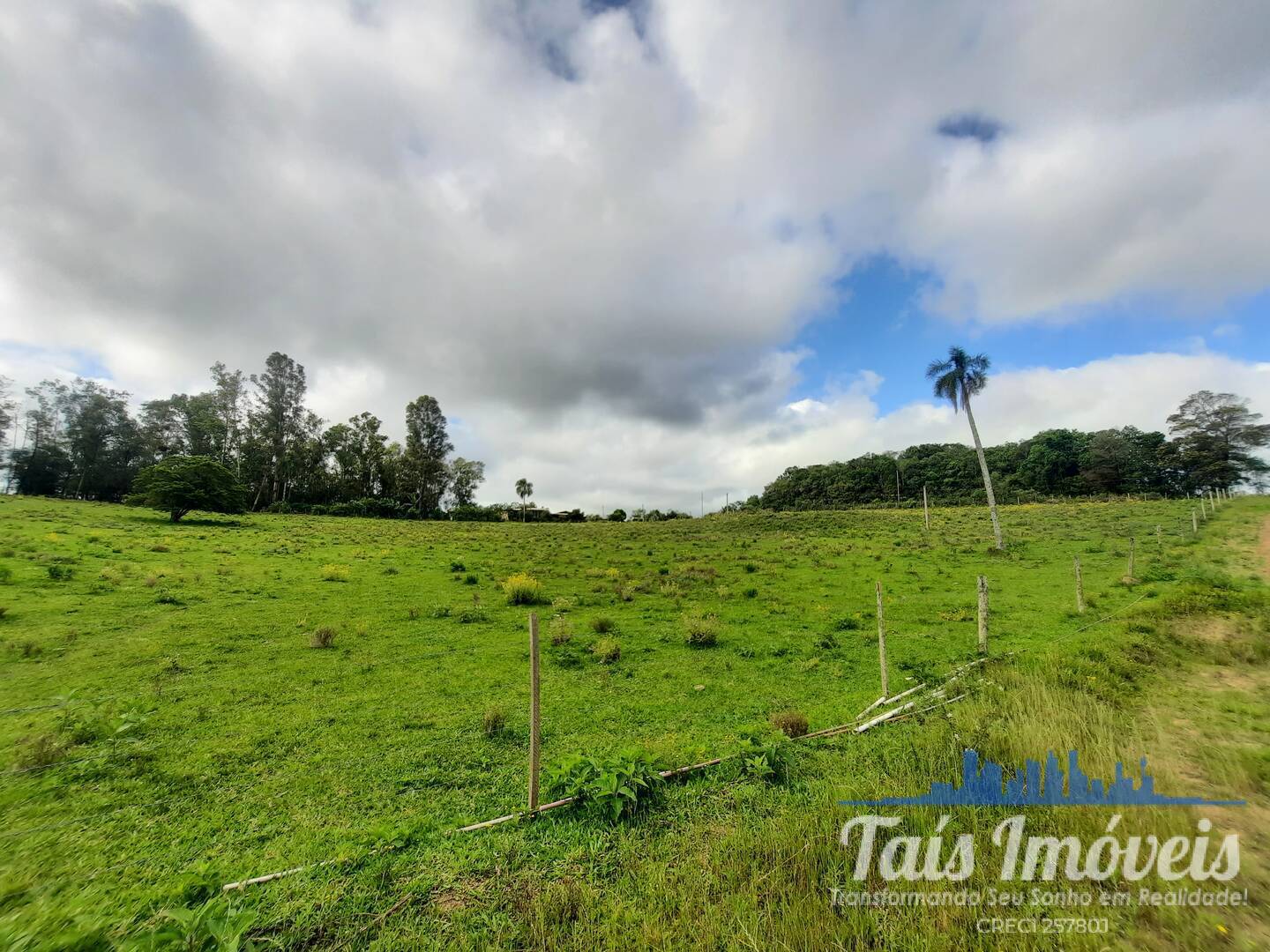 Fazenda à venda com 2 quartos, 18m² - Foto 10