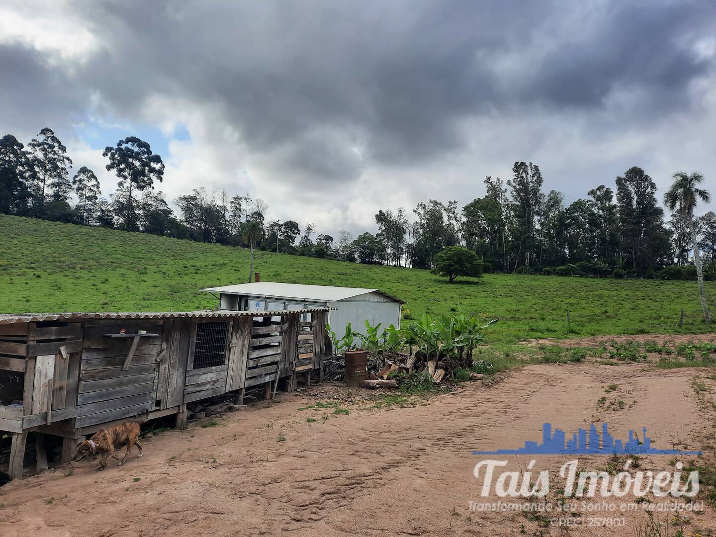 Fazenda à venda com 2 quartos, 18m² - Foto 5