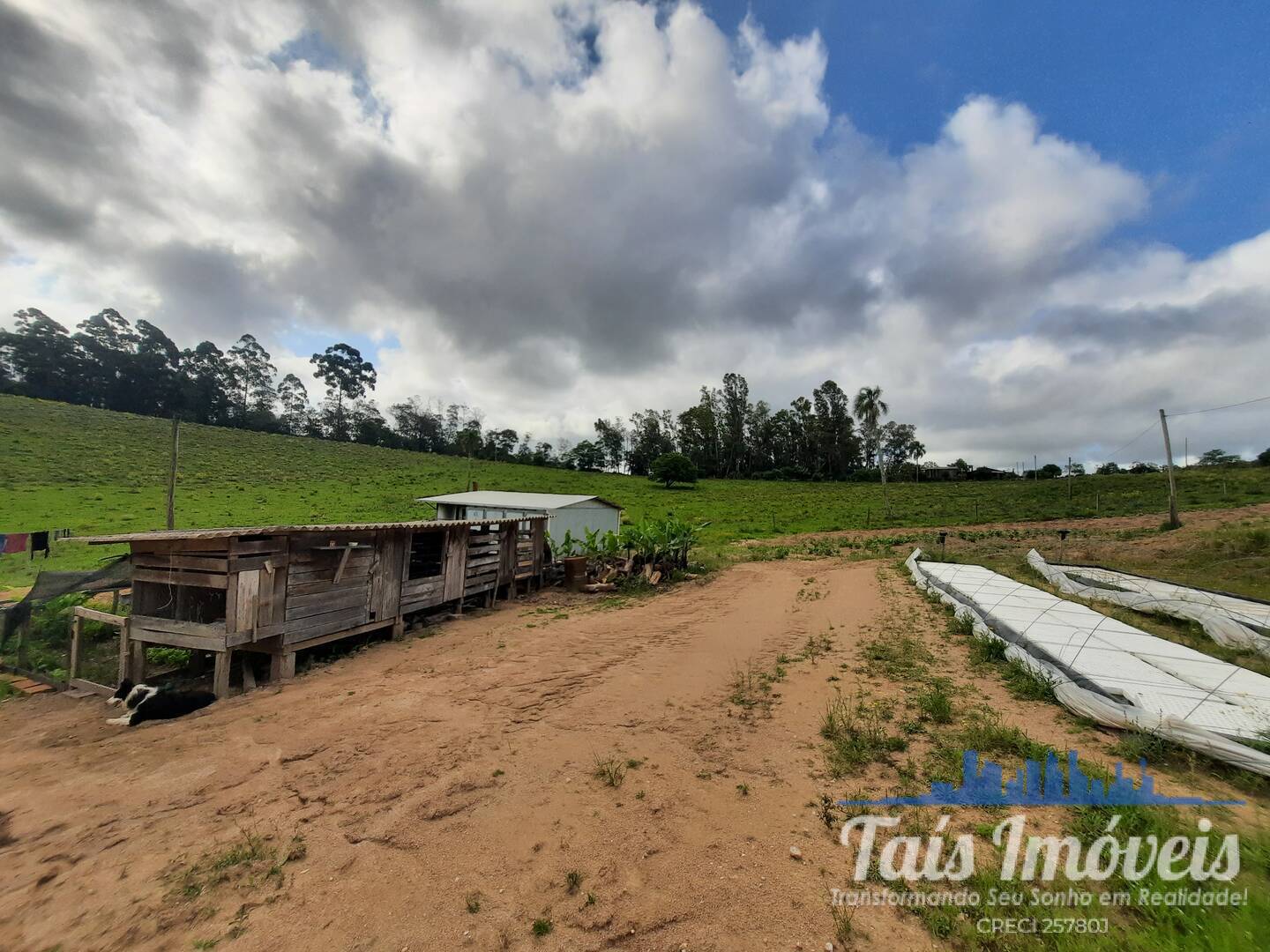 Fazenda à venda com 2 quartos, 18m² - Foto 3