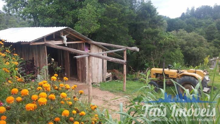 Fazenda à venda com 2 quartos, 3m² - Foto 5