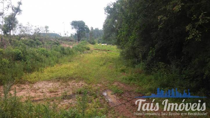 Fazenda à venda com 2 quartos, 3m² - Foto 7